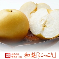 福島県産 梨 にっこり 特秀 3kg（5〜7玉）