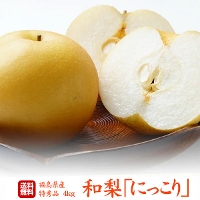 福島県産 梨 にっこり 特秀 5kg（6〜9玉）