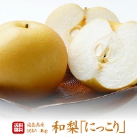 福島県産 梨 にっこり ご家庭用 4kg（6〜9玉）